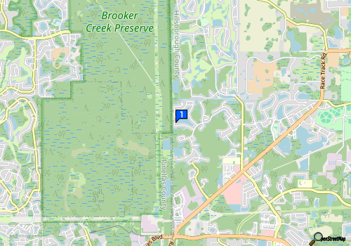staticmap.php?center=28.08048639999999,-82.64782389999999&zoom=13&size=180x240&markers=28.08048639999999,-82 BONA5D Credit Consultants, LLC - Support Black Owned