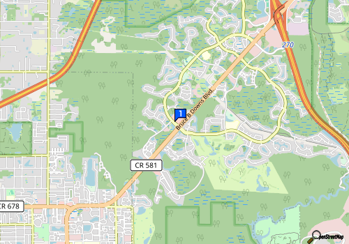 staticmap.php?center=28.0986405,-82.39959010000001&zoom=13&size=180x240&markers=28.0986405,-82 Malachite Naturals Boutique - Support Black Owned