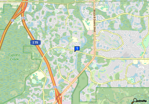 staticmap.php?center=28.1455445,-82.36486330000002&zoom=13&size=180x240&markers=28.1455445,-82 Mental Group Fitness, LLC - Support Black Owned