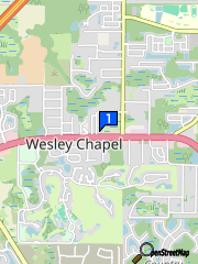 staticmap.php?center=28.241328,-82.32385649999998&zoom=13&size=180x240&markers=28.241328,-82 Wesley Chapel Cleaner - Support Black Owned