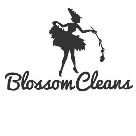 Blossom Cleans NYC LLC