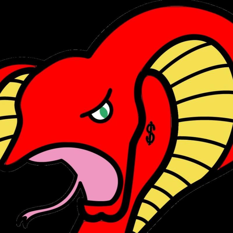 Cobra Focus Financial Cobra Focus Financial