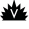 Volta River Group LLC Volta River Group LLC