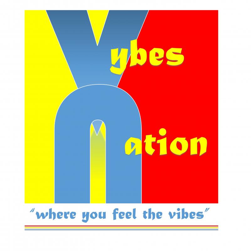 Vybes International Group, LLC