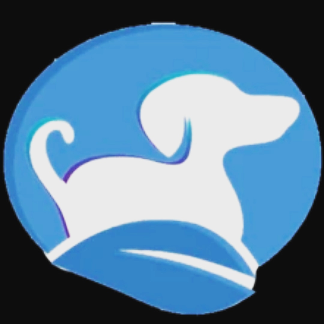 Spencer's pet accessories