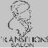 Transitions Salon