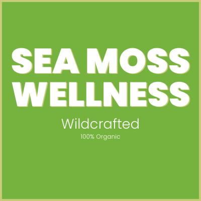 logo Sea Moss Wellness - Support Black Owned