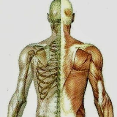 Integrative Body Therapy Center Integrative Body Therapy Center