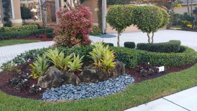 C's Designer Landscaping