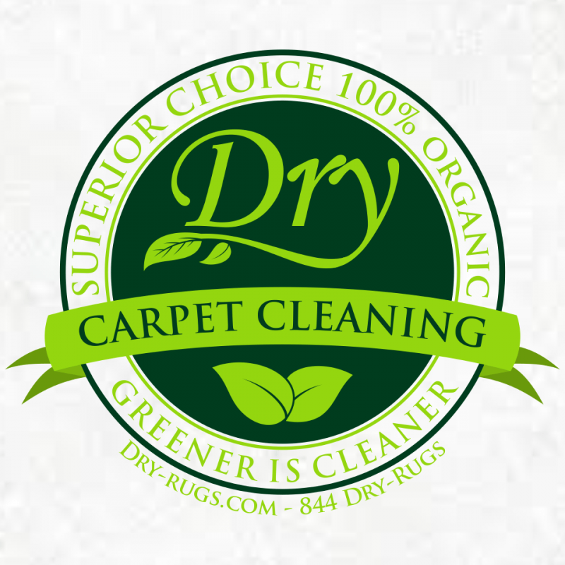 The 6 Best Options For Carpet Cleaning In Spokane 2020