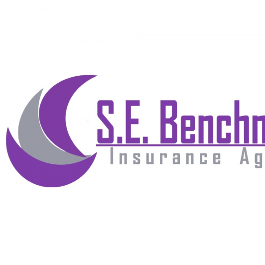 S E Benchmark Agency S E Benchmark Agency