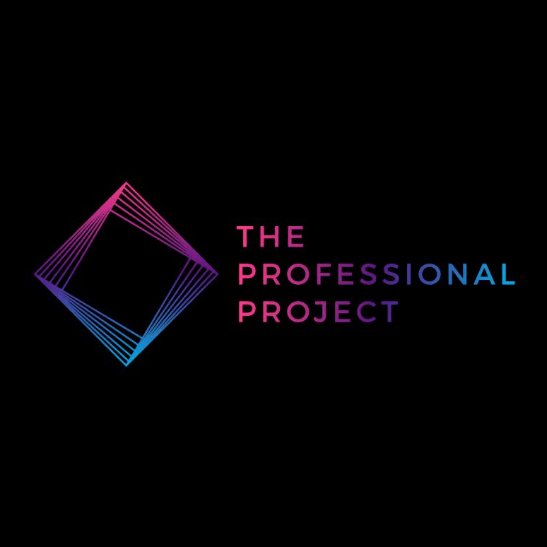 The Professional Project Blog