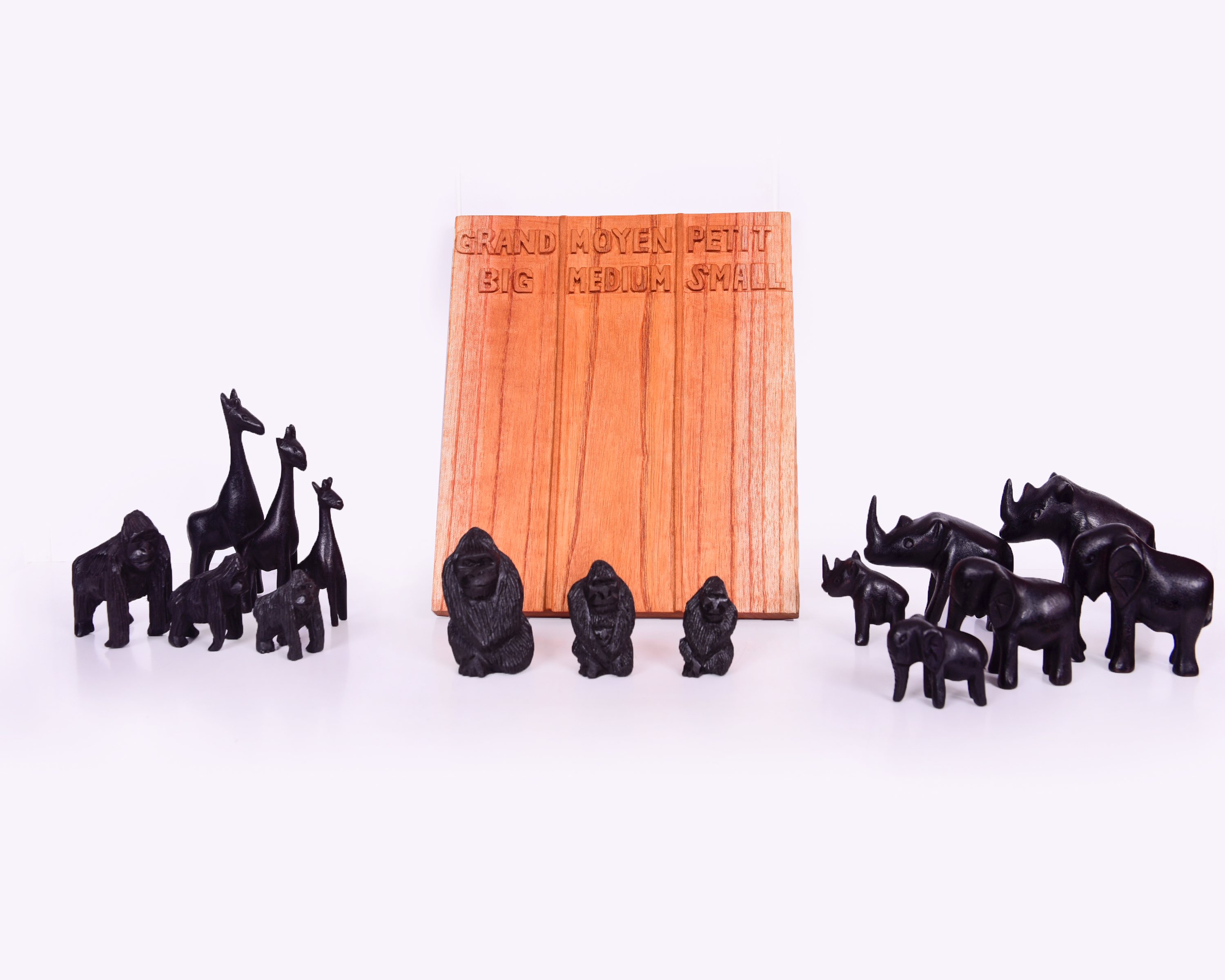 SORTING BY SIZE (from 3 years)