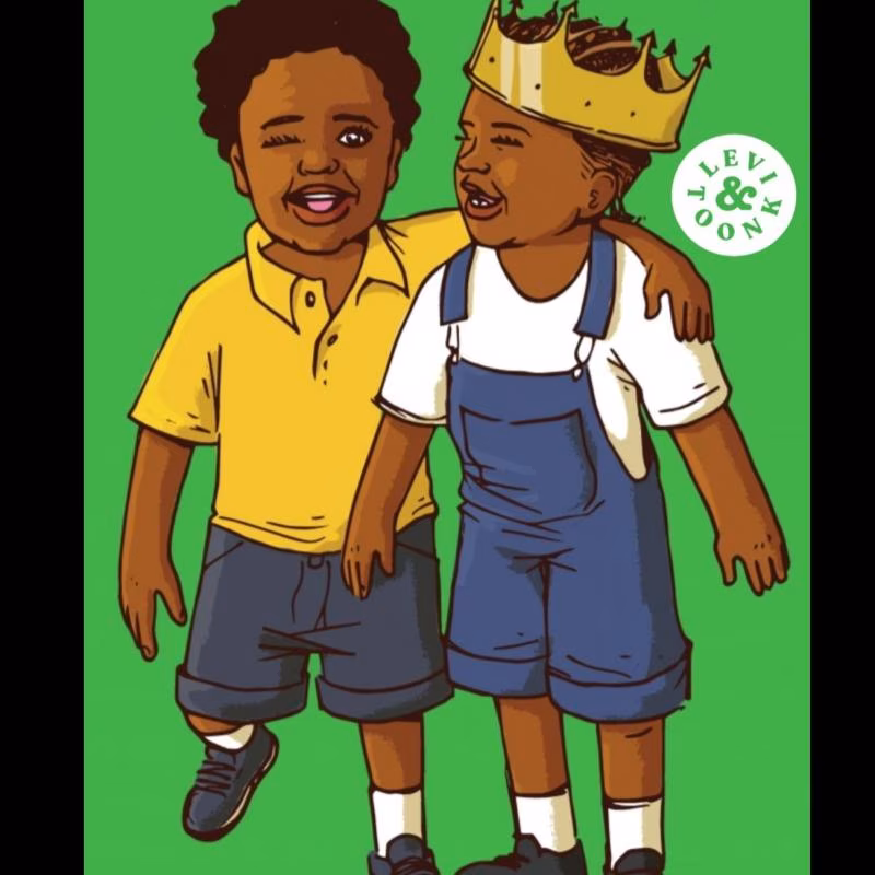 Levi&Toonk LLC