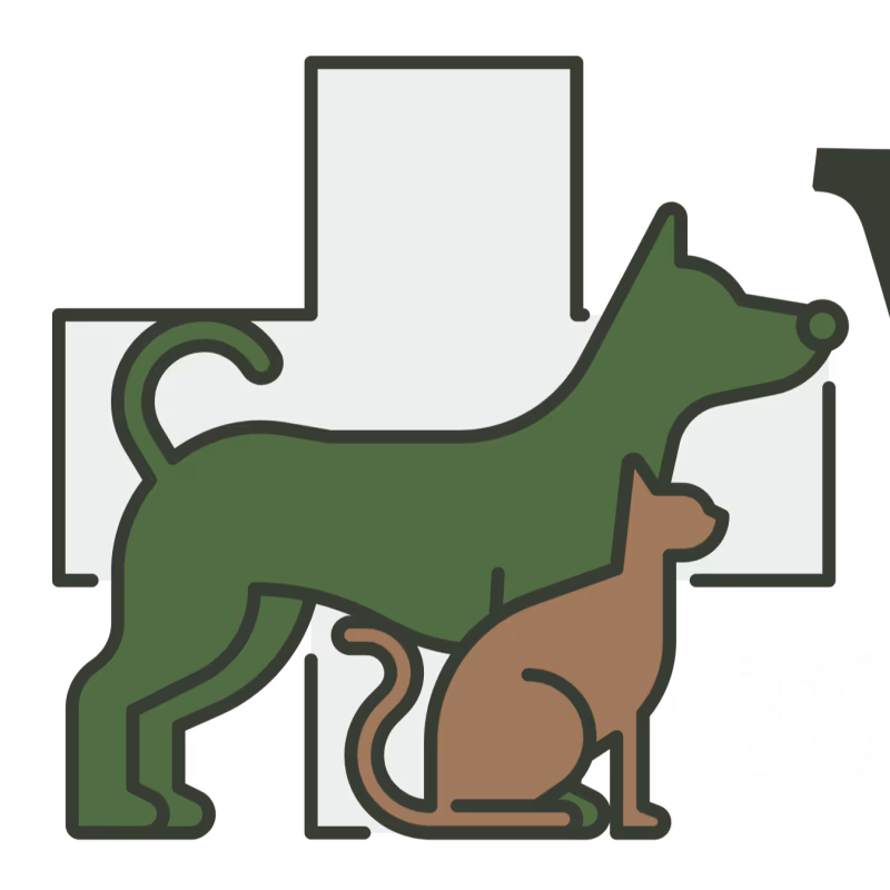 Vet Vibes Pet Hospital