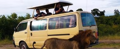 budget mode of transport for safari tours