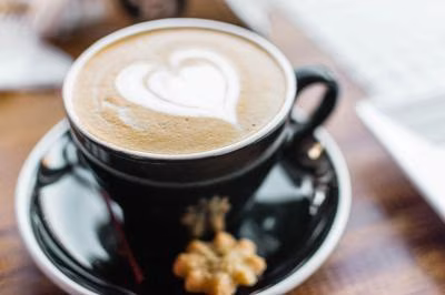 Enjoy Medium, Mild to Dark Roasts