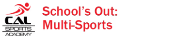 Multi-Sporting Events for Youth