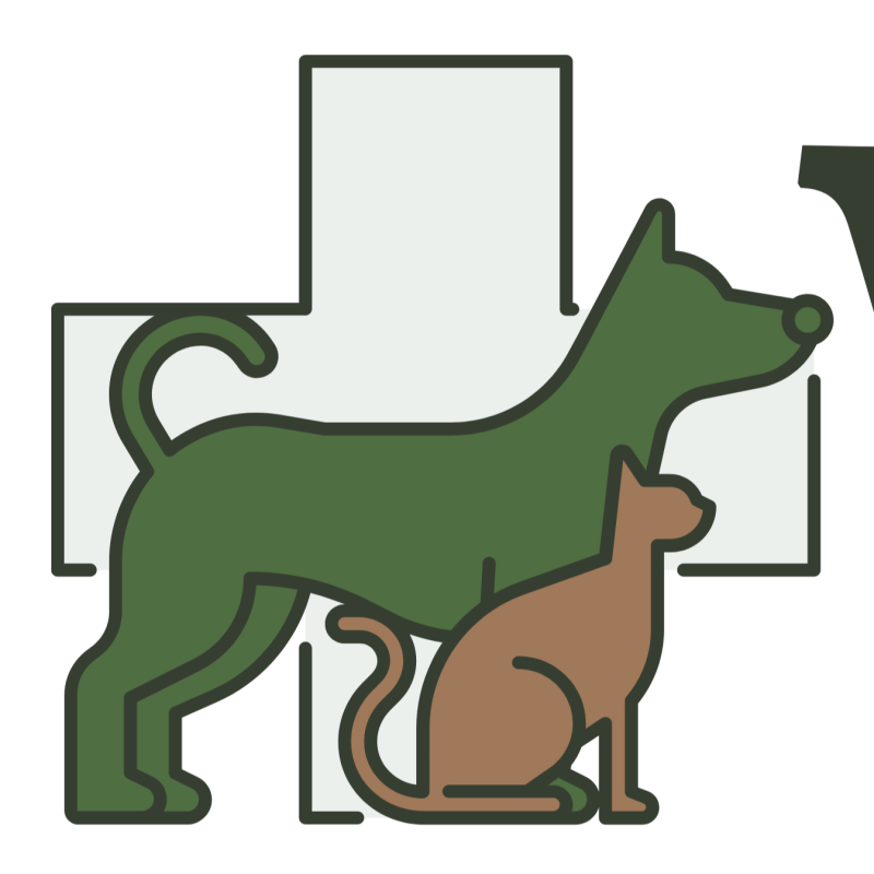 Vet Vibes Pet Hospital